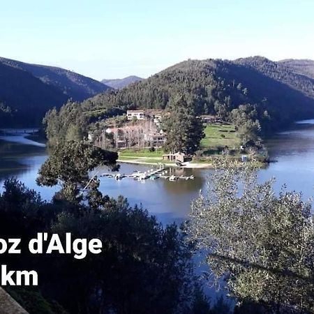 Casa Da Vila Figueiro Dos Vinhos Kültér fotó
