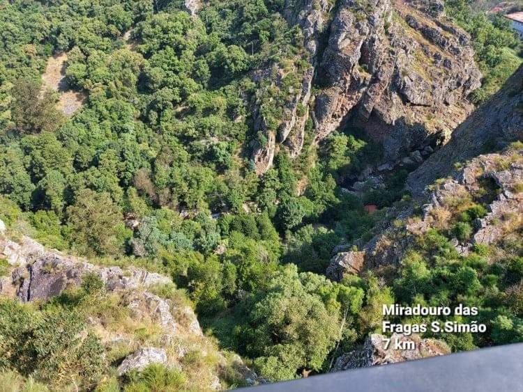 Casa Da Vila Figueiro Dos Vinhos Kültér fotó